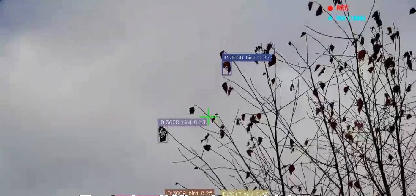 A frame from a PanoptesAI field test: a flock of birds against an overcast sky, each one boxed and labelled with a track identifier and a confidence score